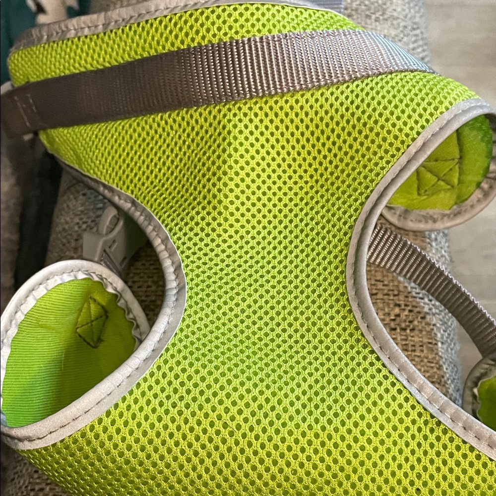 Neon Green Mesh Dog Harness